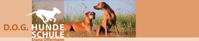 D.O.G. Hundeschule