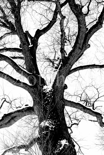05120020_G3 SW