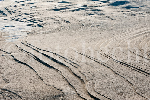 0512PL0656_1